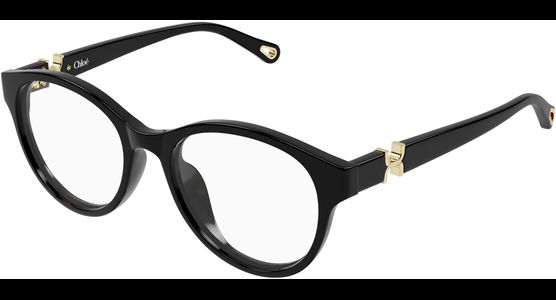 Chloé CH0376OA 53 001 - Ansicht 2