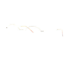 FRAIMS Brille Unisex FRAIMS 03-97180-01 Joy, Gold Matt