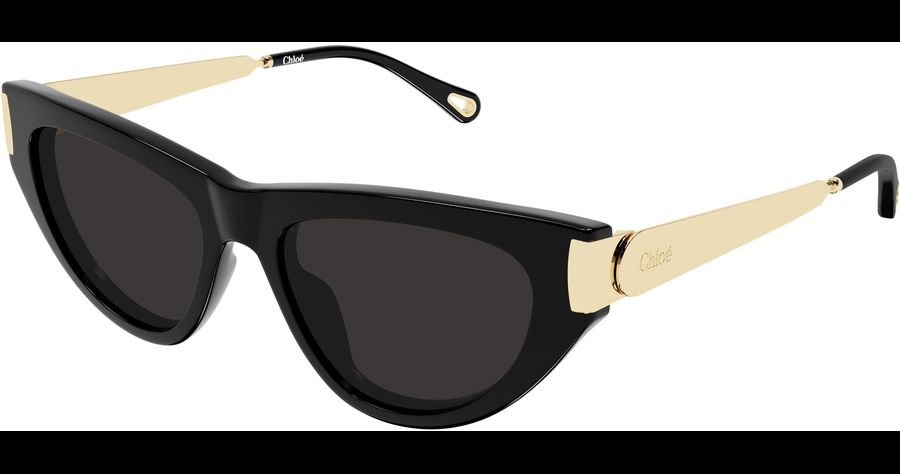 Chloé Sonnenbrille Damen Chloé CH0350S 54 001 Ansicht 1