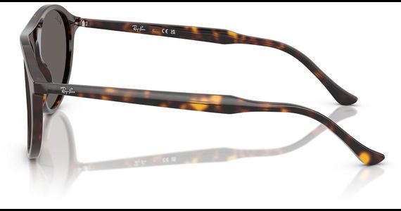Ray-Ban RB2215 902/B1 - Ansicht 4