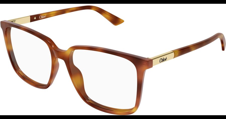 Chloé Brille Damen Chloé CH0369O 55 002 Ansicht 1