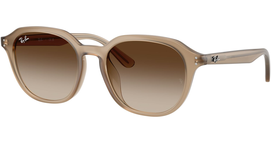 Ray-Ban Sonnenbrille Unisex Ray-Ban RB4459D 616613 Ansicht 1
