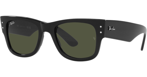 Wayfarer unisex hot sale