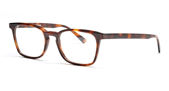 FRAIMS 03-97060-03 Paul, Dunkel Havanna - Ansicht 2