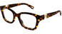 Chloé CH0305O 51 006