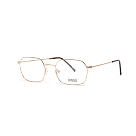 FRAIMS Brille Herren FRAIMS 03-97240-02 Taylor, Gold Matt