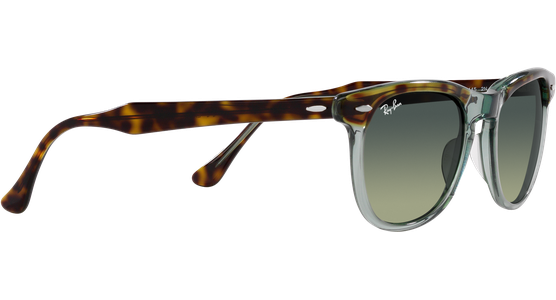 Ray-Ban Eagle Eye RB2398 1376BH - Ansicht 11