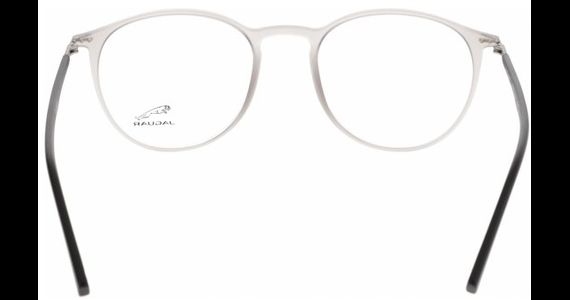 Jaguar 36808 6500 - Ansicht 4