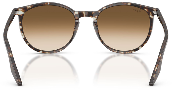 Ray-Ban RB2204 143151 - Ansicht 5