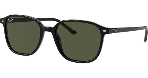 Ray-Ban Leonard RB2193 901/31 53 - Ansicht 2
