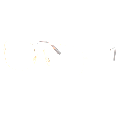 Ray-Ban Brille Unisex Ray-Ban William Titanium Optics RX8797 1246