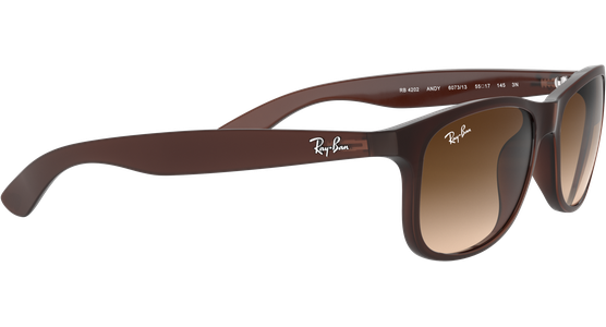 Ray-Ban Andy RB4202 606971 55 Braun - Ansicht 15