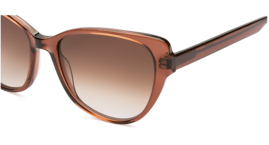 FRAIMS 13-08030-02 Alanis, Braun Transparent glänzend - Ansicht 6