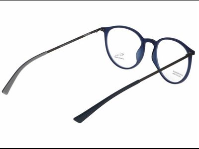 Jaguar Brille Herren Jaguar 36827 Blau/Grau Ansicht 5