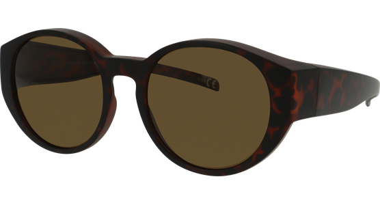 Sunray Pola Überbrille 06-57420-02 - Ansicht 2