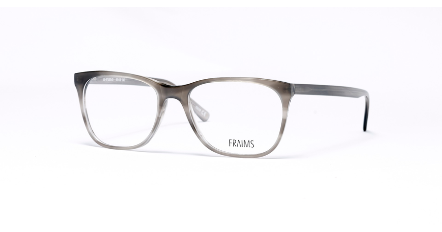 FRAIMS Brille Damen FRAIMS 03-97100-01 Julia, Grau Meliert Ansicht 1