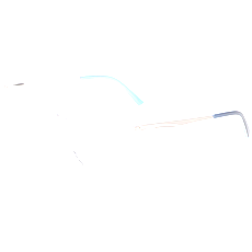 Jaguar Brille Herren Jaguar 32502 52 8100