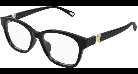 Chloé CH0336OA 53 001 - Ansicht 2