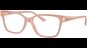 Jimmy Choo JC3012 5027 55
