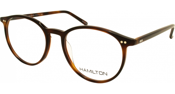 Hamilton 01-94120-03 5018 - Ansicht 2