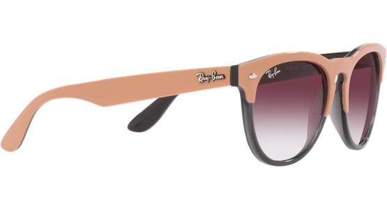 Ray-Ban Iris RB4471 66338H - Ansicht 11